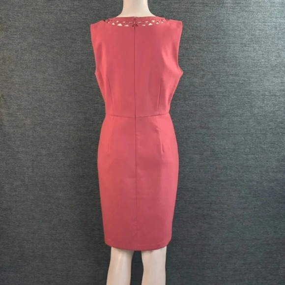 For Kitty Rescue! Loft Cutout Sheath Dress - Picture 6 of 13